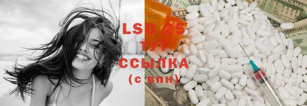 стафф Аркадак