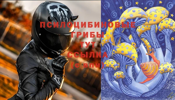 прущая мука Арсеньев