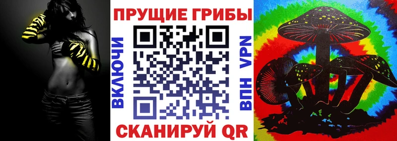 Галлюциногенные грибы Psilocybine cubensis Свирск