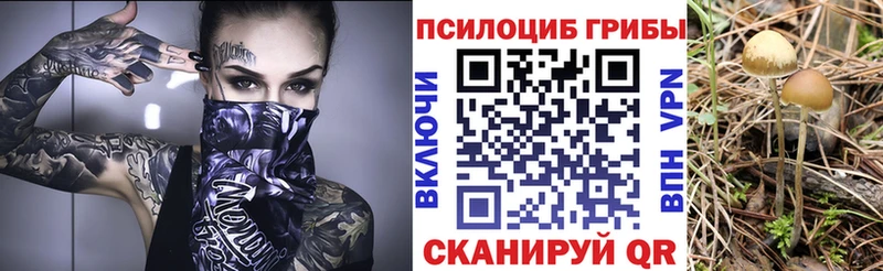 Псилоцибиновые грибы прущие грибы  где продают наркотики  Свирск 
